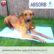 ABSORB nepremokavá podložka pre psa